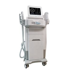 China 110V 220V Electrical Muscle Stimulation Machine 74KG CE Approved on sale