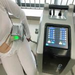 4 Handles Double Channel Cryolipolysis Fat Freezing Machine
