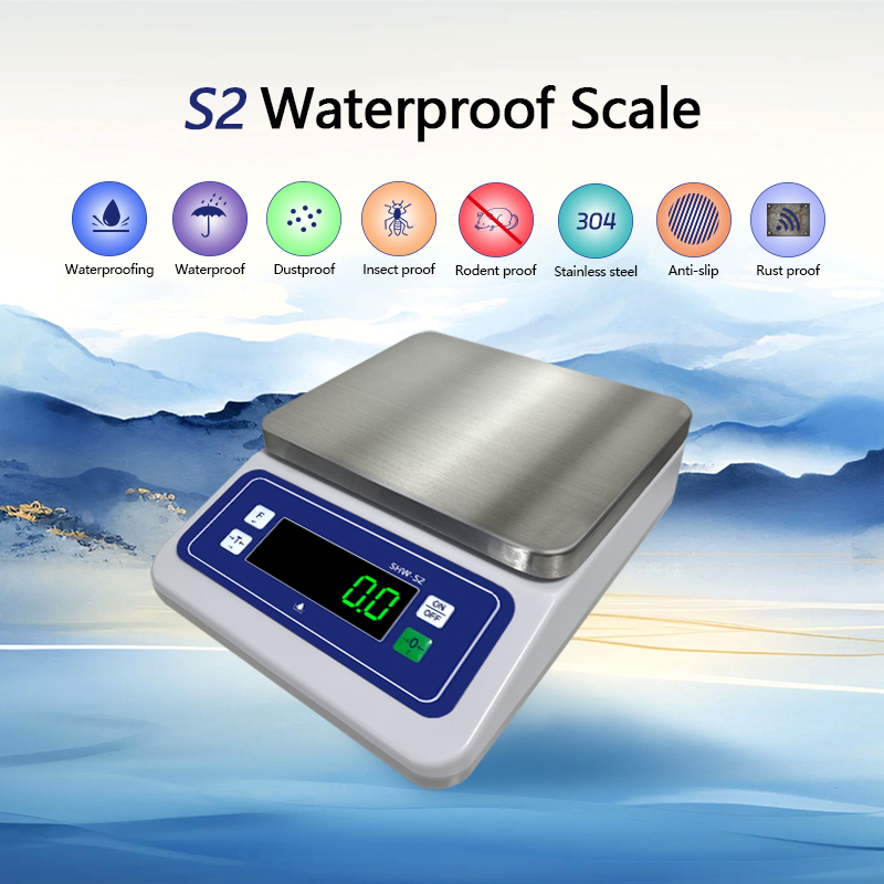 430 Stainless Steel Plate S2 Waterproof Electronic Small Scale with IP68 Protection Level
