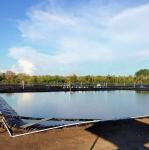 Online Technical Support HDPE Geomembrane Fish Pond Liner for Aquaculture