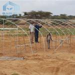 Agriculture Plants Growing Farming Polyethylene Film Single Span Tunnel Plastic