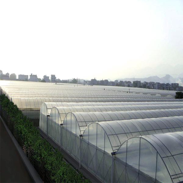 Buy cheap Climate Adjustable Plastic Film Greenhouse Heat Resisting Anti Freezing Moisture Proof from wholesalers