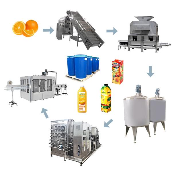 Quality 5TPH Complete Orange Juice Processing Line Food Grade Stainless Steel 304 for sale