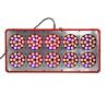 Buy cheap 430W names all fruits LED Grow Light use high par value hydroponics system indoor cultivo from wholesalers