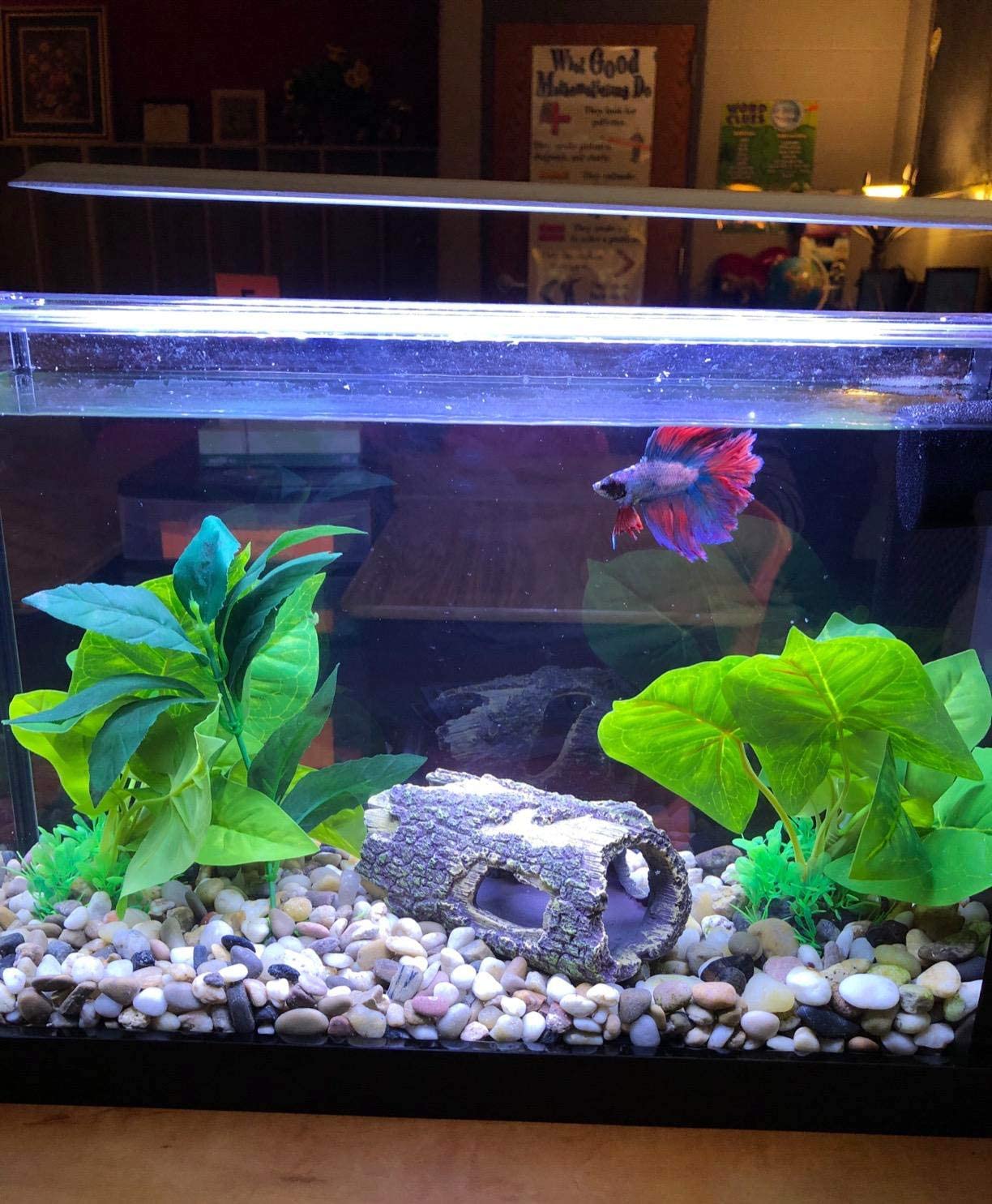 Fish Betta Aquarium Decoration Items For 10 Gallon Tank