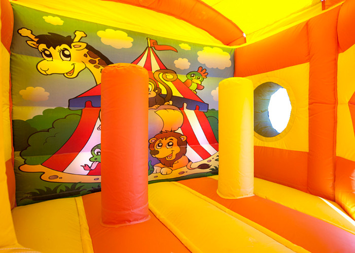 Kids Sport Lion Combo 4.2 x 4.7m Inflatable Jumping Bouncer With Slide Logo Printed