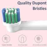 IPX7 Oral Cleaning Sonic Electric Toothbrush Couple Waterproof Electric