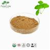 Buy cheap Water Soluble Top Sale 100%Herbal Medicine Ginkgo Biloba Leaf Extract from wholesalers