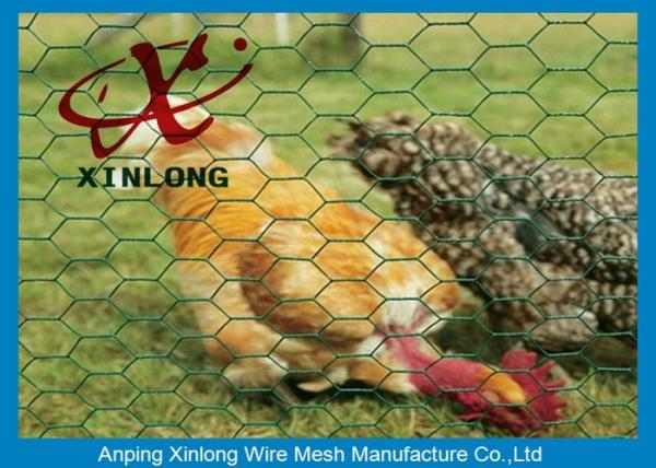 Buy cheap 1/4 Inch Stainless Steel Hexagonal Wire Mesh For Garden / Children Playground from wholesalers