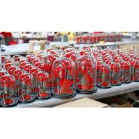 Buy cheap rose gift Factory Wholesale Eternal Beautiful Forever Little Prince Roses product