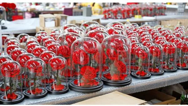 Buy cheap Beautiful Rose Flowers Everlasting Rose Preserved Flower Eternal Rose in Glass from wholesalers