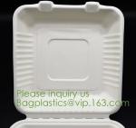 Biodegradable, Sugar Cane, Sugarcane Bamboo Pulp, Bento Box, Bagasse Food
