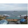 Buy cheap Luxurious Aluminum Frame Ball Glass Dome Tent Star Canopy 3 Meters from wholesalers
