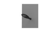 100W SMD Loutdoor Lighting Street Lamps 130lm/w Natural White Low Light Decay