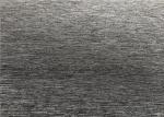 Plain Style Polyester Cationic Fabric 150D Winter Protection For Skiing Wear