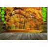 Buy cheap 3D Printable Wallpaper Roll Glossy / Textured Surface 0.61-1.52m Width from wholesalers