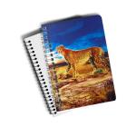 High Definition Plastic Cover Notebooks For Promotional / Advertisement