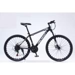 Design Road Bicycle Dual Disc Brakes Bike Racing Mountain Bike with Ordinary