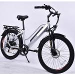 30KG E City Folding Electric Bike 250W With 8000mAh Lithium Battery