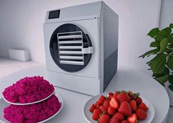 Buy cheap Automatic Vacuum Freeze Dryer For Candy Fruit Juice Milk Freeze Drying from wholesalers