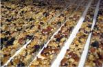 Papa Industrial Mars Candy Bar Line / Fully Automatic Slab Bar Forming Line