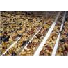 Buy cheap Papa Automatic Slab Former / High Production Speed Caramel Brittle Making Machine from wholesalers