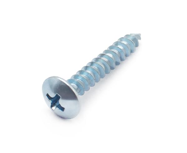 Truss Head Tapping Screw Fasteners JIS B 1122(AAT4) Cross Recessed Nickel