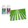 Buy cheap 10% Chlorfenapyr Biological Pesticide Bacillus Thuringiensis Israelensis BTI Spray Liquid from wholesalers