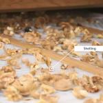 Stainless Steel Food Grade Walnut Shelling Machine 380V 2 Tons Output