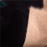Ladies Color-Blocked Sweaters/Fashion Sweaters