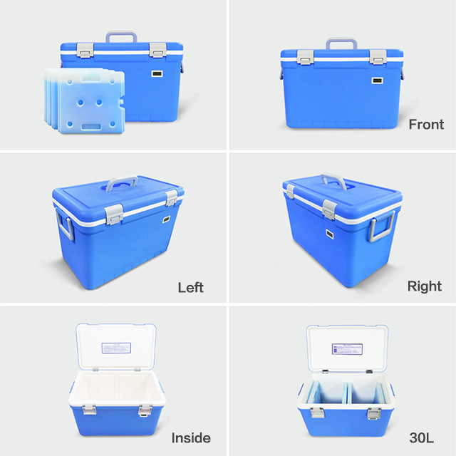 Buckle Lock Vaccine Box Cooler 35L Cooler Box With Ice Packs