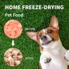 Buy cheap Laboratory Vacuum Home 50mm Freeze Dryer Lyophilizer Machine from wholesalers