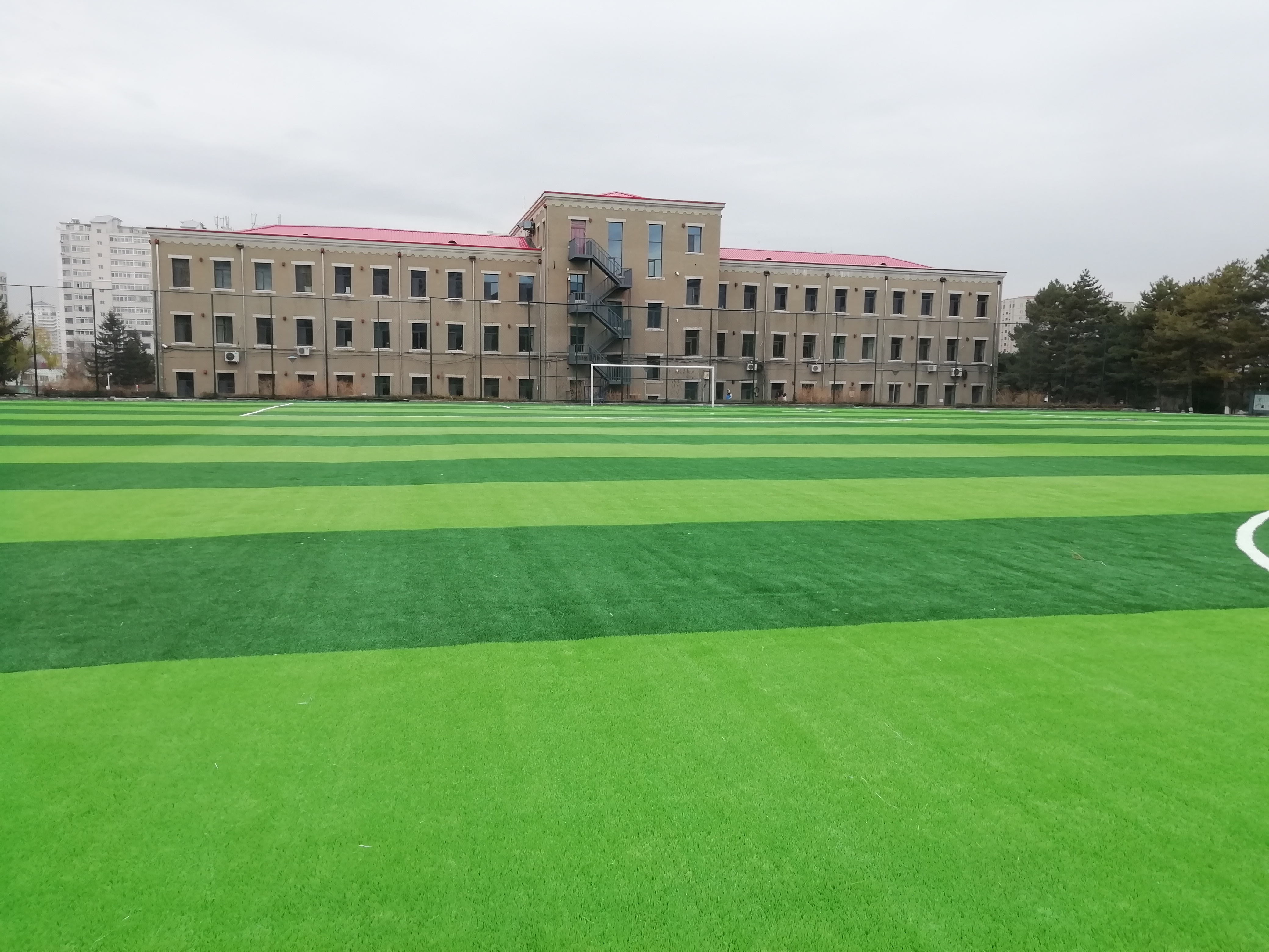 Free Sample Anti- UV EPDM Rubber Granules for Football Field Artificial Grass Turf Infill