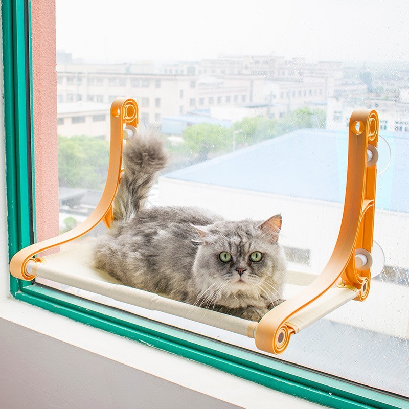 off the floor cat beds