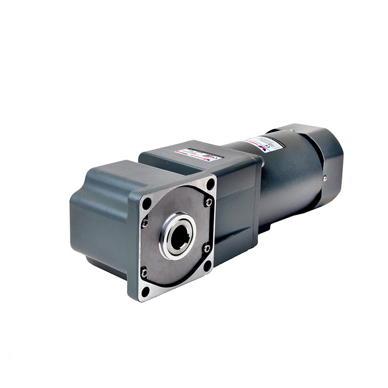 110V 220V Single/Three Phase AC/DC Induction Gear Motor Compact With Speed Controller