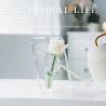 Buy cheap 15 X 20cm Acrylic Lucite Flower Box , Clear Acrylic Flower Stands 8mm Thick from wholesalers