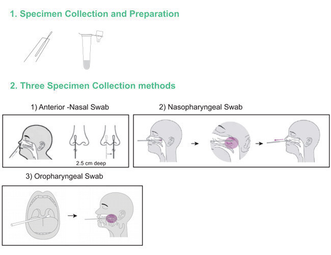 Nasal Throat Swab Antigen Home Test Kit Of SARS-CoV-2 25 Tests/Kit CE Accuracy 99.68%