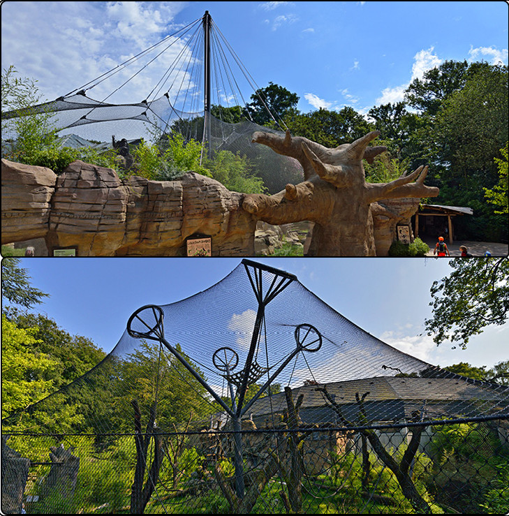 Zoo Enclosure Mesh