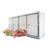 Buy cheap Icemedal Food Storage Container Cold Room For Meat Danfoss Compressor from wholesalers