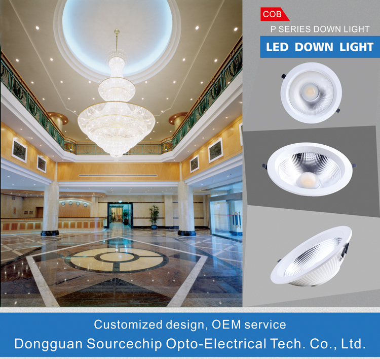 COB Recessed LED downlight 20w