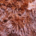 HomeLightweight Faux Fur Throw Blanket High Durability Fluffy Fur Blanket