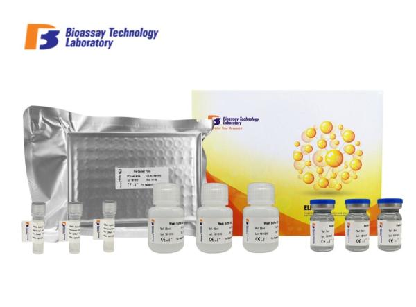 Laboratory Research ELISA Kit Bovine Protein Tyrosine Phosphatase Highly
