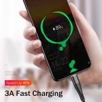 25CM Fast Charging USB Cable