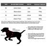 Buy cheap XXS-XXL Reflective Leash And Collar Nylon Four Legged Hi Vis Dog Leads from wholesalers