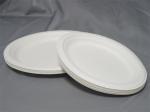 10" Or 12.5" Oval Biodegradable Sugarcane Bagasse Plates