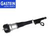 Buy cheap Black color Mercedes W221 S Class 2213205613 Rear Shock Absorber from wholesalers