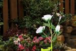 IP65 2V 0.6W Color Changing Solar Flower Lights