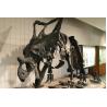 Buy cheap High Durability Realistic Dinosaur Skeleton Models Fiberglass / Gypsum Made from wholesalers