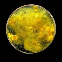 Buy cheap Semi Dull Flat Dope Dyed Polyester Staple Fiber 5.56Detx × 51mm product