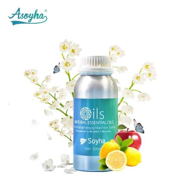 Buy cheap Norwegian Forest Pure Essential Oils , Organic Food Grade Essential Oils from wholesalers